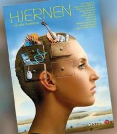 Hjernen - fra celle til samfund