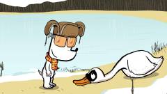 Hunden Ib, sæson 2 : Hunden Ib hjælper en træt knopsvane