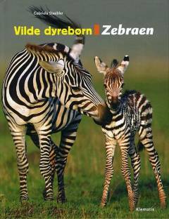 Zebraen