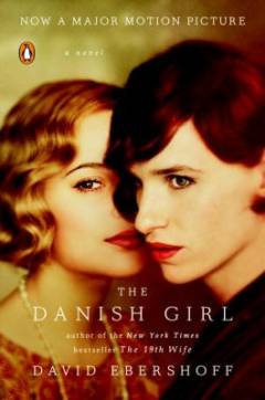 The Danish girl : a novel