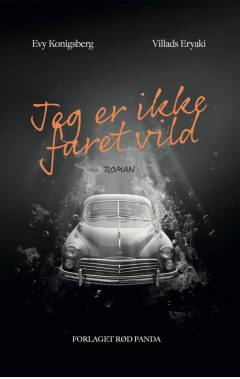 Jeg er ikke faret vild : en rejseroman