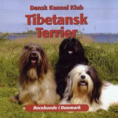 Tibetansk terrier : en gave fra landet på verdens tag!
