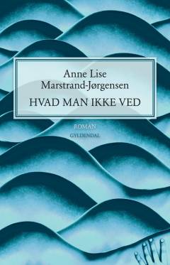 Hvad man ikke ved (Sæt)