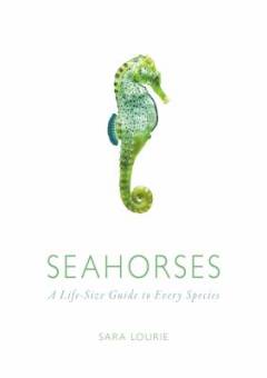 Seahorses : a life-size guide to every species