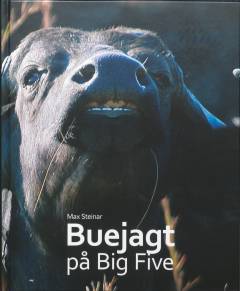Buejagt på Big Five