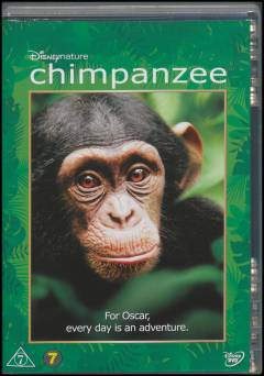 Chimpanzee