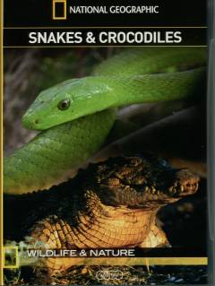 Snakes & crocodiles