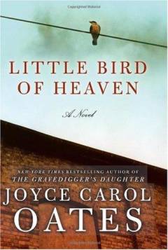 Little bird of heaven : a novel