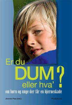 Er du dum eller hva'? : om børn og unge, der får en hjerneskade