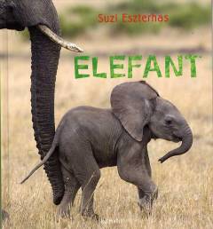 Elefant
