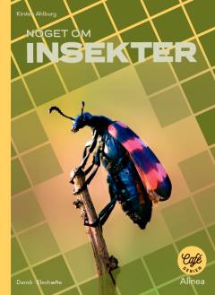 Noget om - insekter