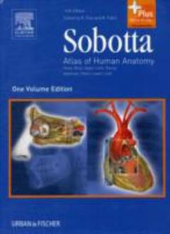 Atlas of human anatomy