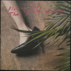 Plowing into the field of love