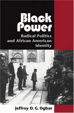 Black power : radical politics and African American identity