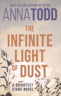 The infinite light of dust