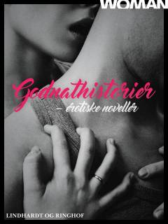 Godnathistorier : erotiske noveller. 1