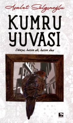 Kumru yuvası