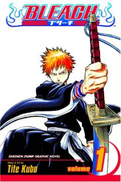 Bleach. Vol. 1 : Strawberry and the Soul Reapers