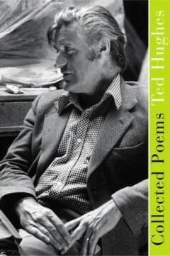 Bog, 1. American edition, 2003