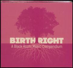 Birthright : a black roots music compendium