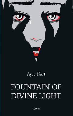 Fountain of divine light : novel