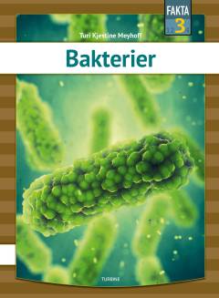 Bakterier