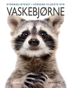 Vaskebjørne