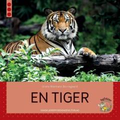 En tiger