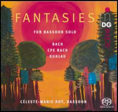 Fantasies for bassoon solo