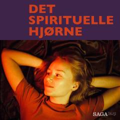 Tankefeltterapi, TFT - med Hanne Nohr Sommer