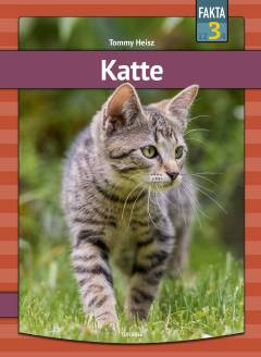 Katte