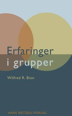 Erfaringer i grupper og andre artikler