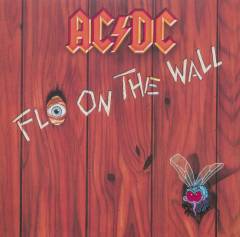 Fly on the wall