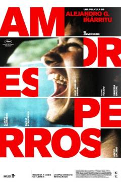 Amores perros