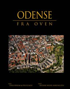 Odense fra oven