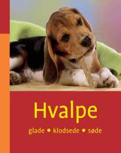 Hvalpe : glade, klodsede, søde