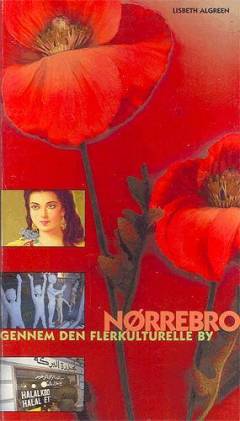 Nørrebro : gennem den flerkulturelle by