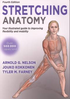 Stretching anatomy