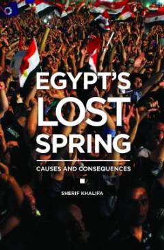 Egypt's lost spring : causes and consequences