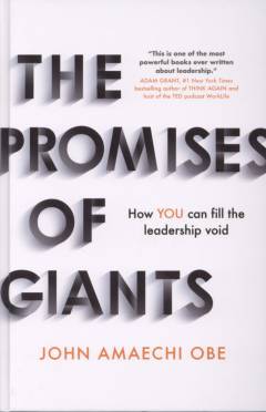 The promises of giants : how YOU can fill the leadership void