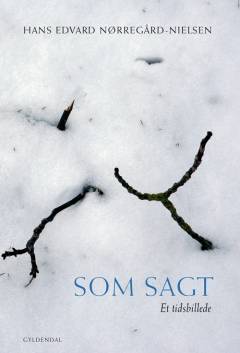 Som sagt : et tidsbillede