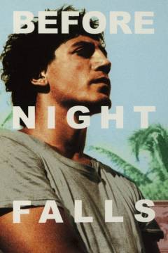 Before night falls