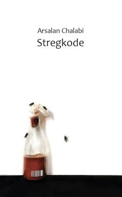 Stregkode : digte
