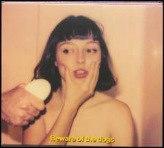 Beware of the dogs