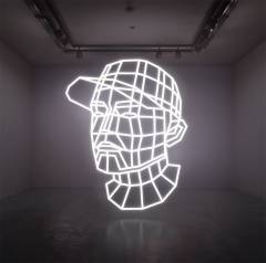 Reconstructed : the best of DJ Shadow