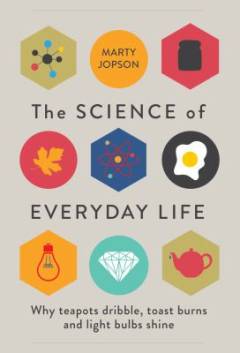 The science of everyday life : why teapots dribble, toast burns and light bubls shine