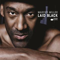 Laid black