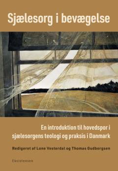 Sjælesorg i bevægelse : en introduktion til hovedspor i sjælesorgens teologi og praksis i Danmark