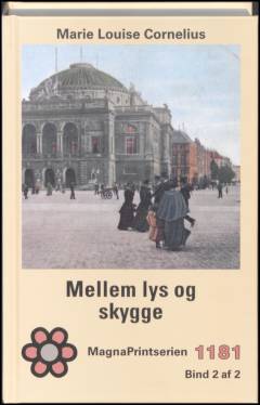 Mellem lys og skygge. Bind 2 (Stor skrift)