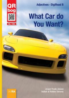 What car do you want?